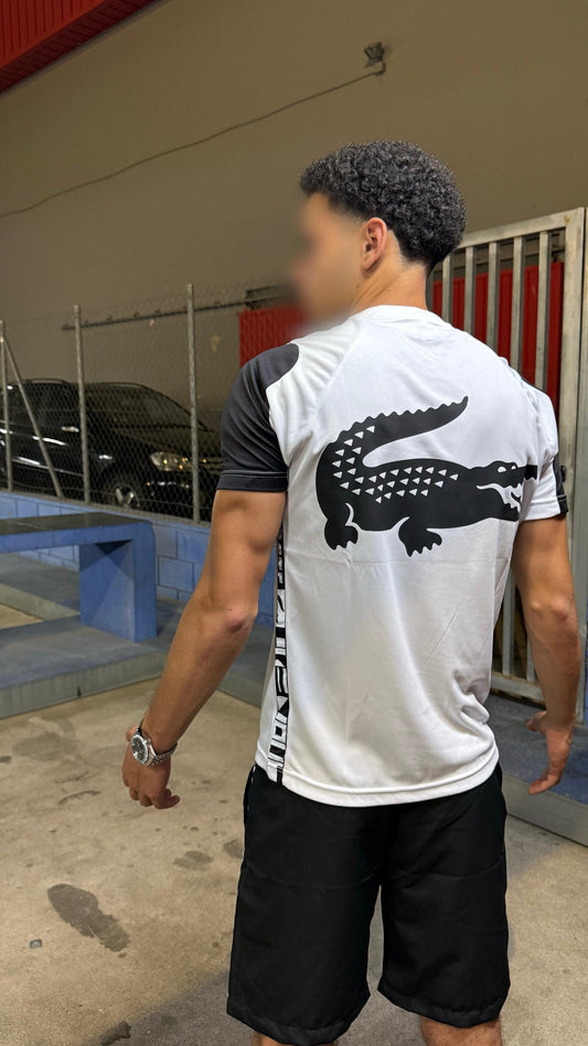 CONJUNTO VERANO LACOSTE
