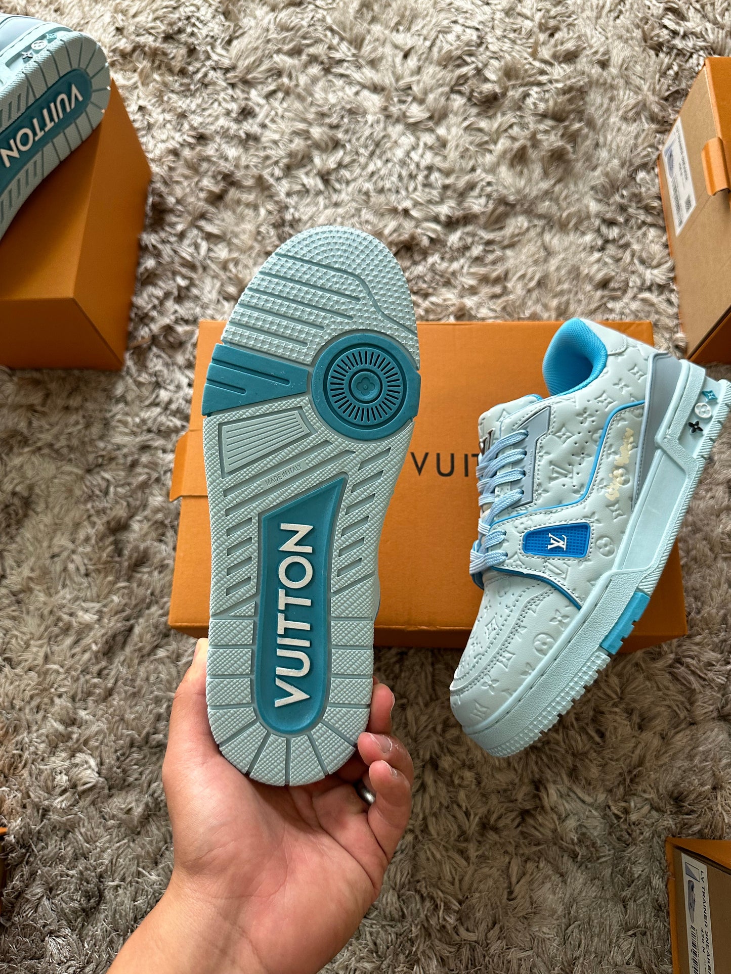 Louis Vuitton by Tyler, The Creator LV TRAINER